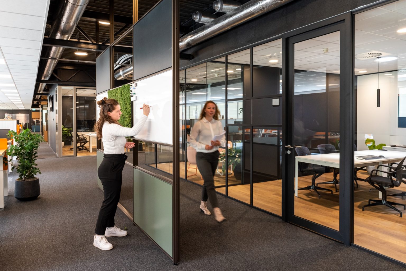 Partitions for offices – Maars Living Walls