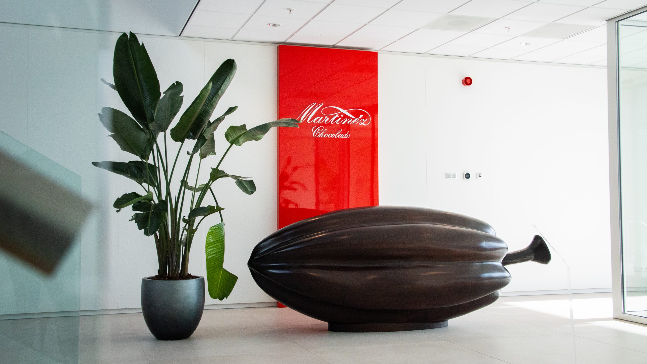 Maars supplies complete office interior for Martinez Chocolade